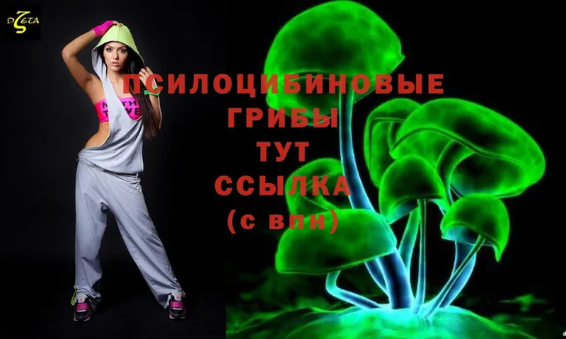 Псилоцибиновые грибы Cubensis  где продают наркотики  Новошахтинск 